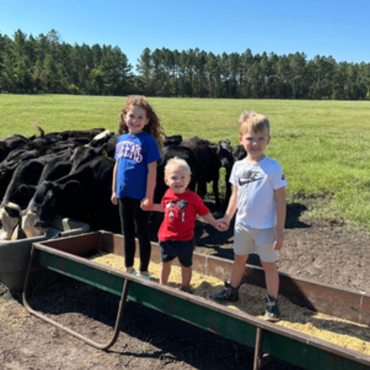 Three children standing in a cattle feed trough with cattle in the background.